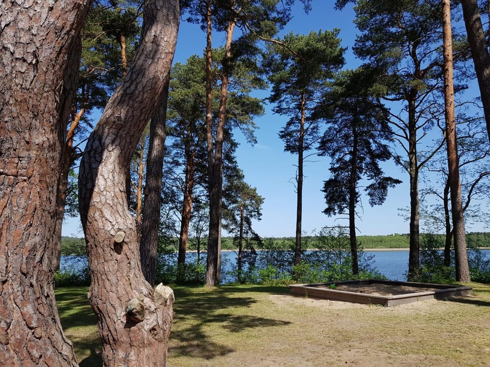Lake view