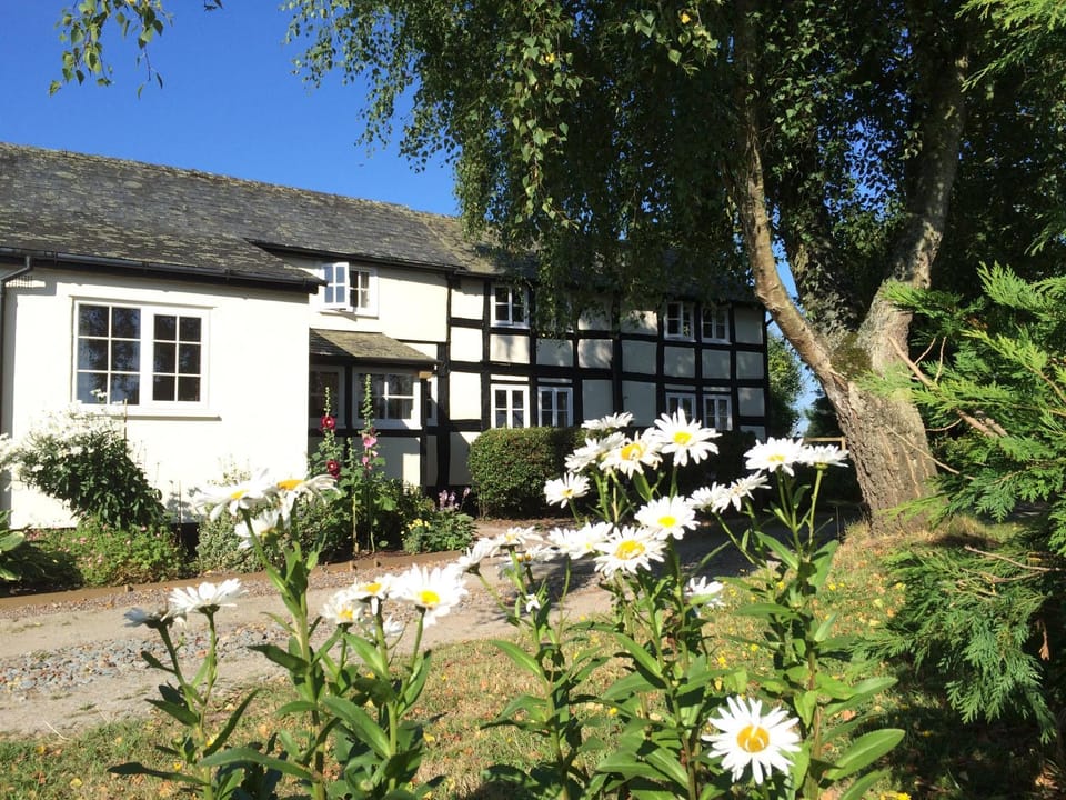 Yew Tree Cottage Bed and Breakfast in Wales