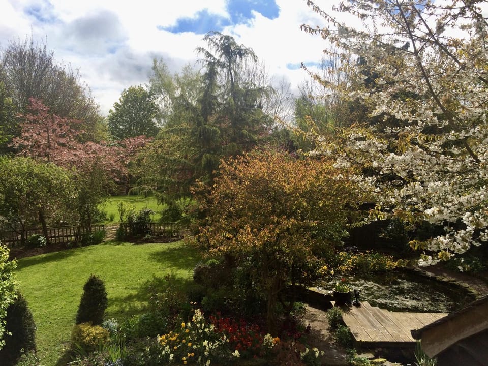 Yew Tree Cottage Bed and Breakfast in Wales