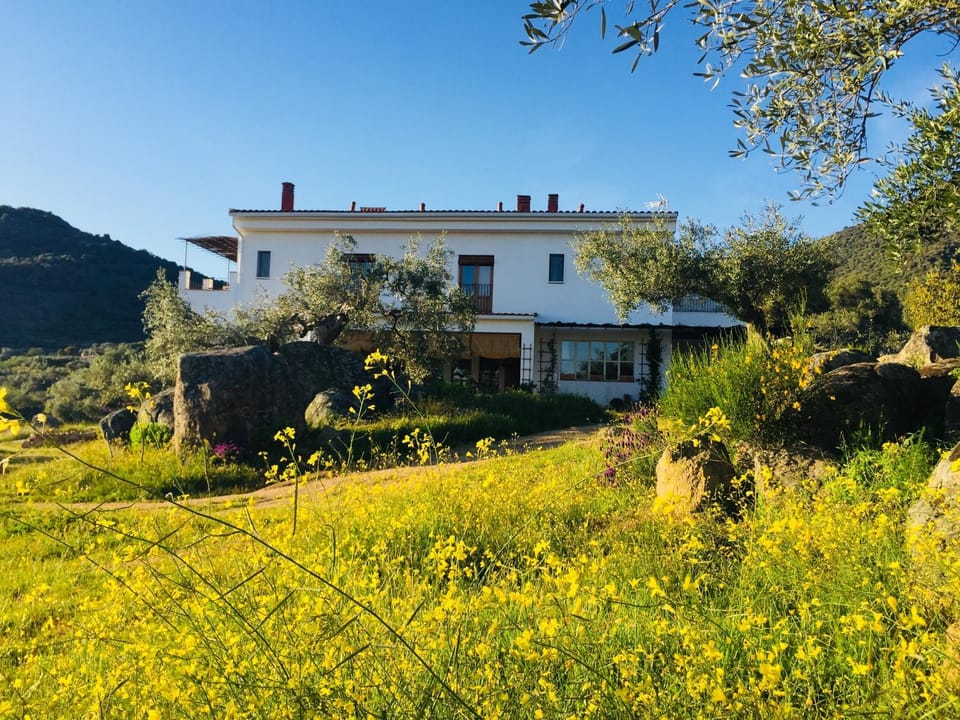Property building, Garden