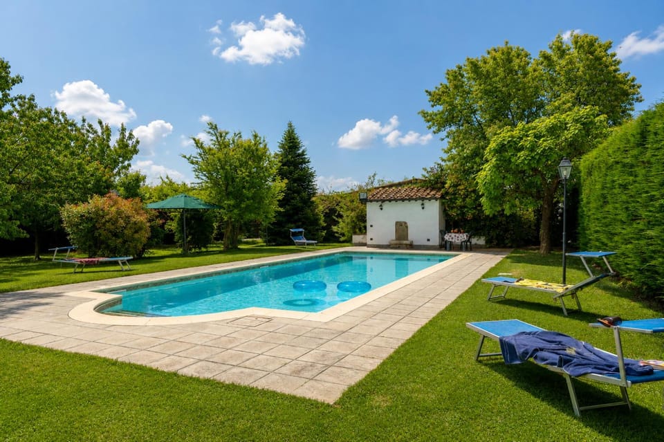 Garden, Garden view, Pool view, Swimming pool, sunbed