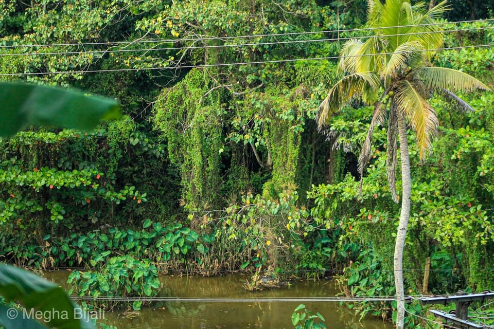 Kerala Heritage Villa Villa in Kerala