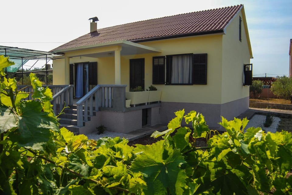 Property building, Garden view