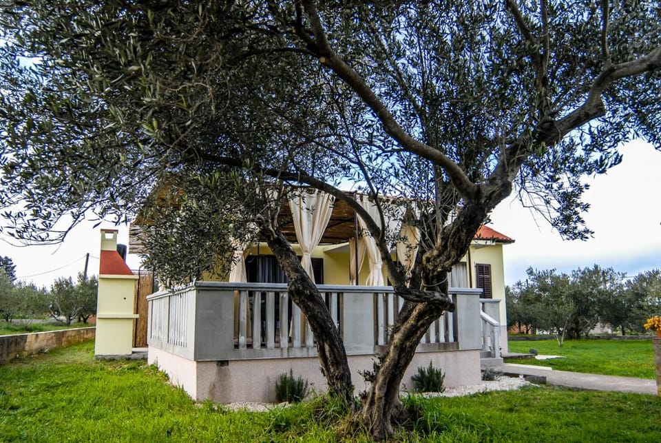 Natural landscape, Garden