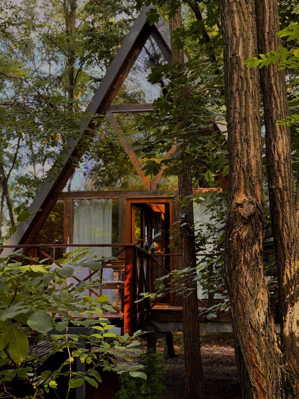 Porumbacu Treehouse Chalet in Romania