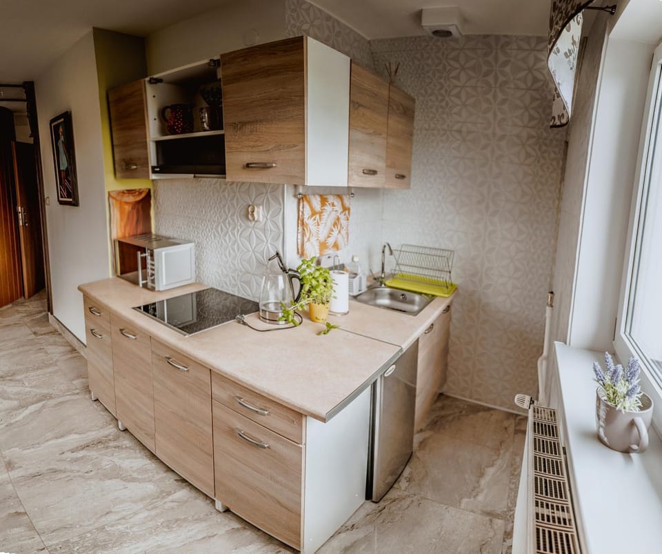 Apartament Gazdowski Apartment in Lesser Poland Voivodeship
