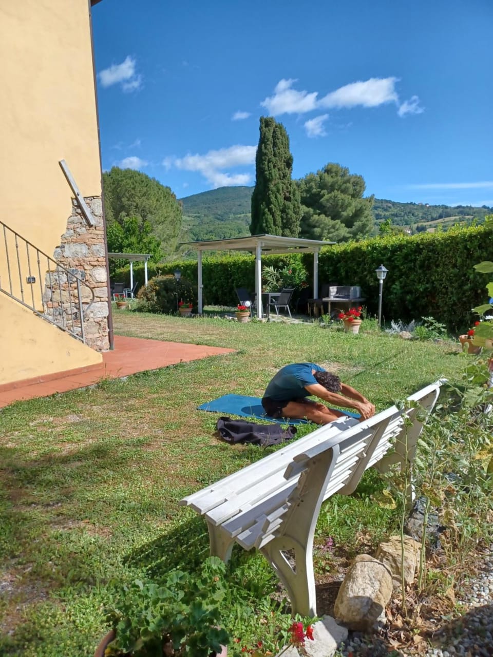 Natural landscape, Garden, Garden view