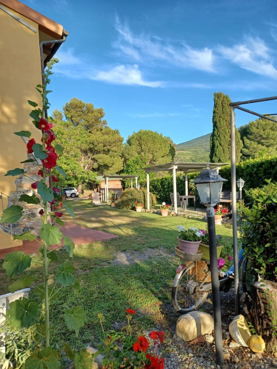 Natural landscape, Garden, Garden view