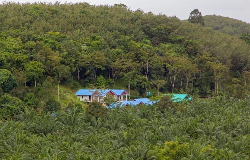 Property building, Natural landscape, Mountain view