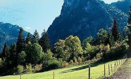 Natural landscape