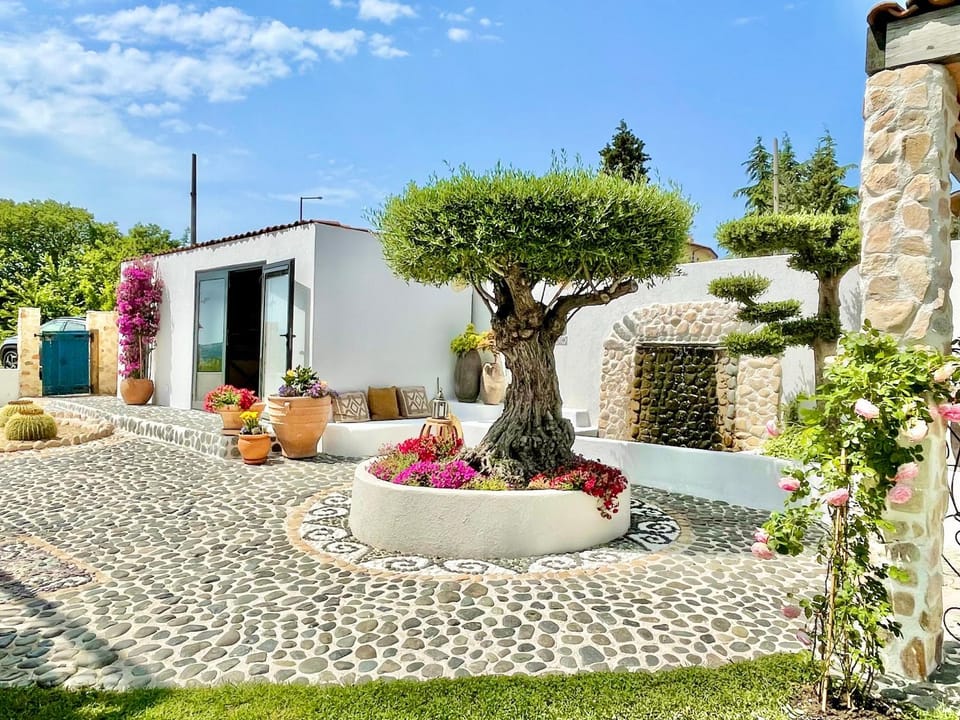 Patio, Garden