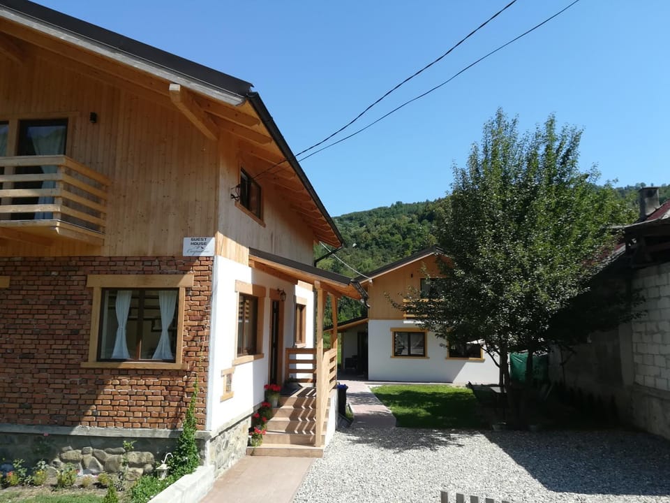 Guest House Carpathia Bed and Breakfast in Romania