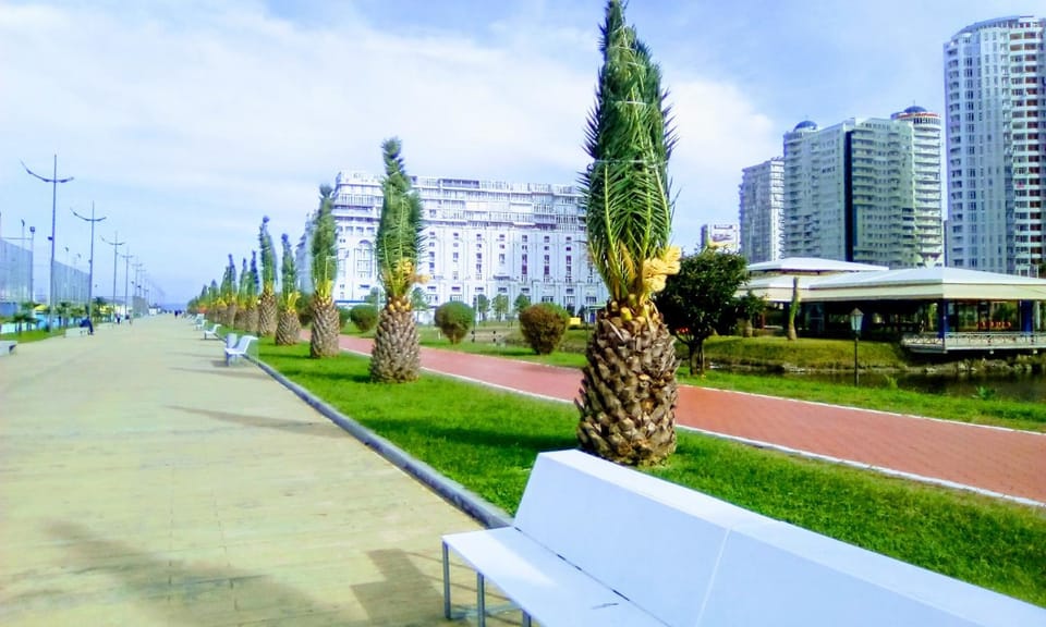 Garden view, Street view