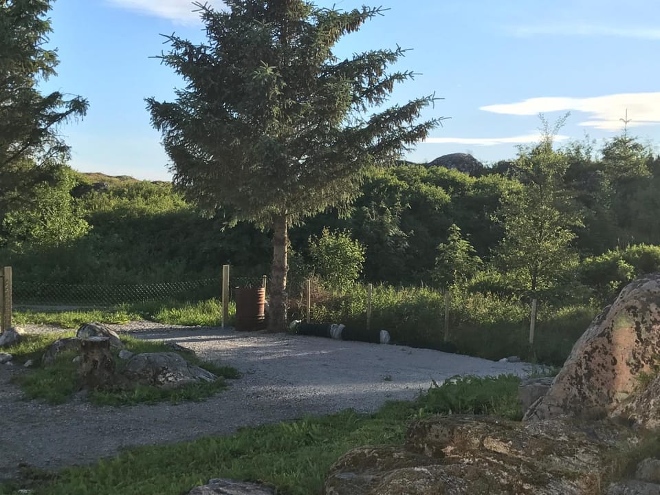 Garden, Other