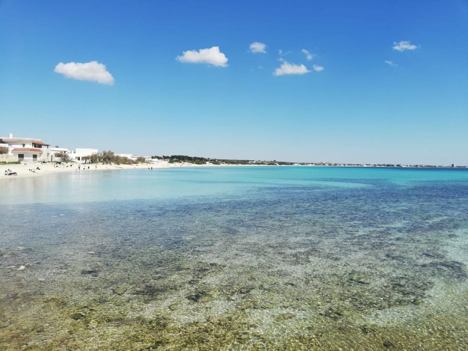 Natural landscape, Beach, On site
