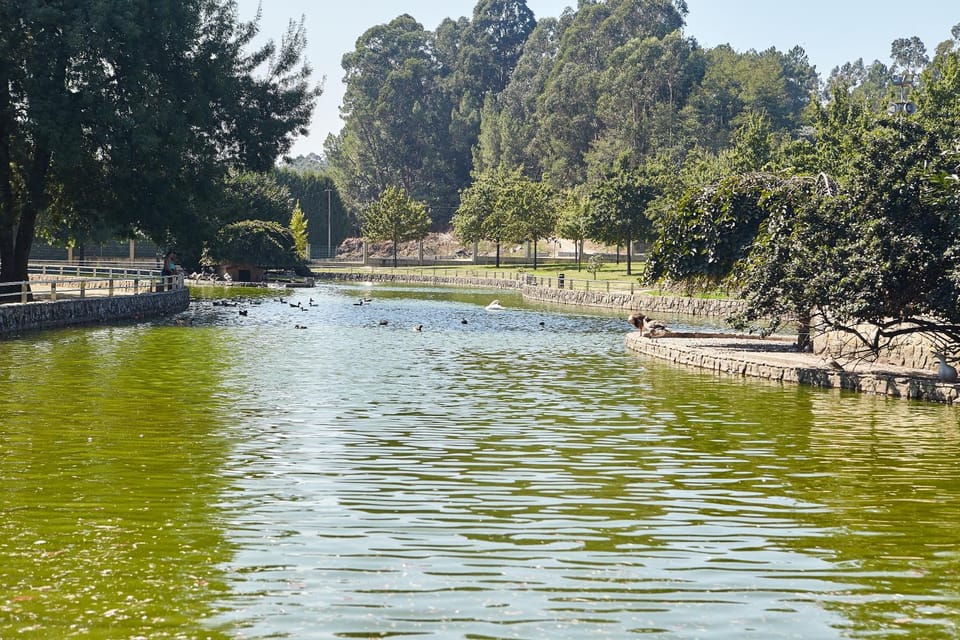 Gándara Chalet House in Viana do Castelo District, Portugal