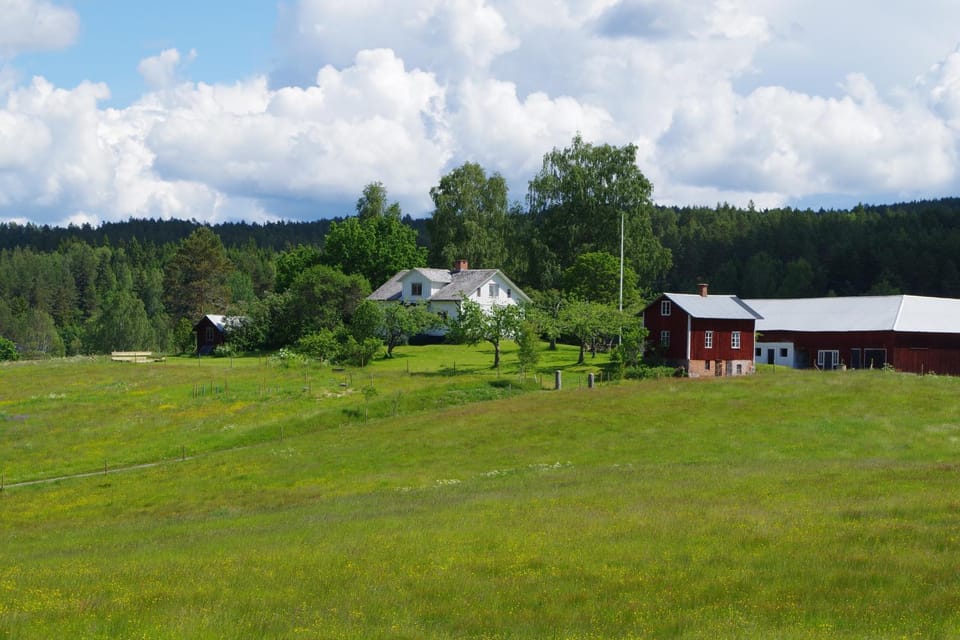 The Sheep Inn B&B Bed and Breakfast in Sweden