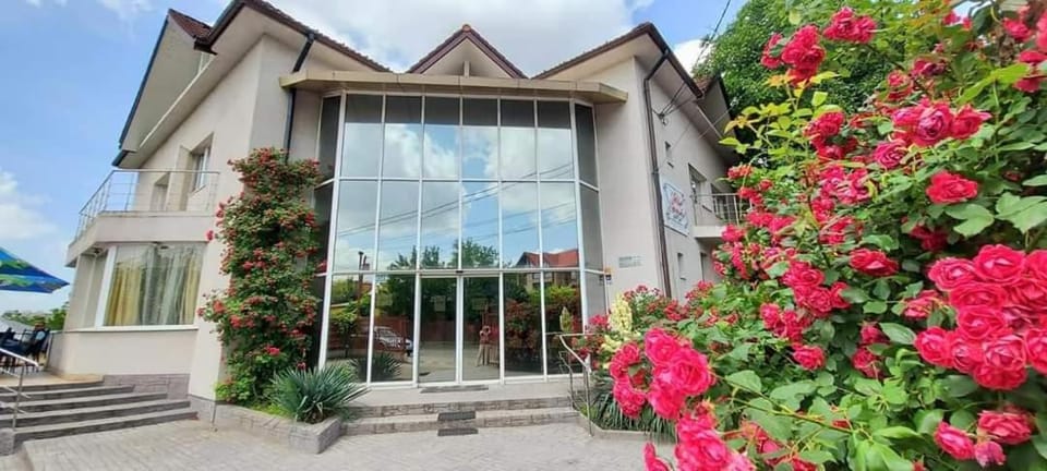 Property building, Spring, Day, Garden, Garden view