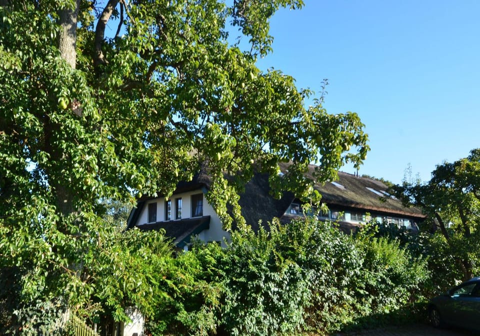 Grosses-Reethaus-Sanddorn House in Mecklenburg-Vorpommern, Germany