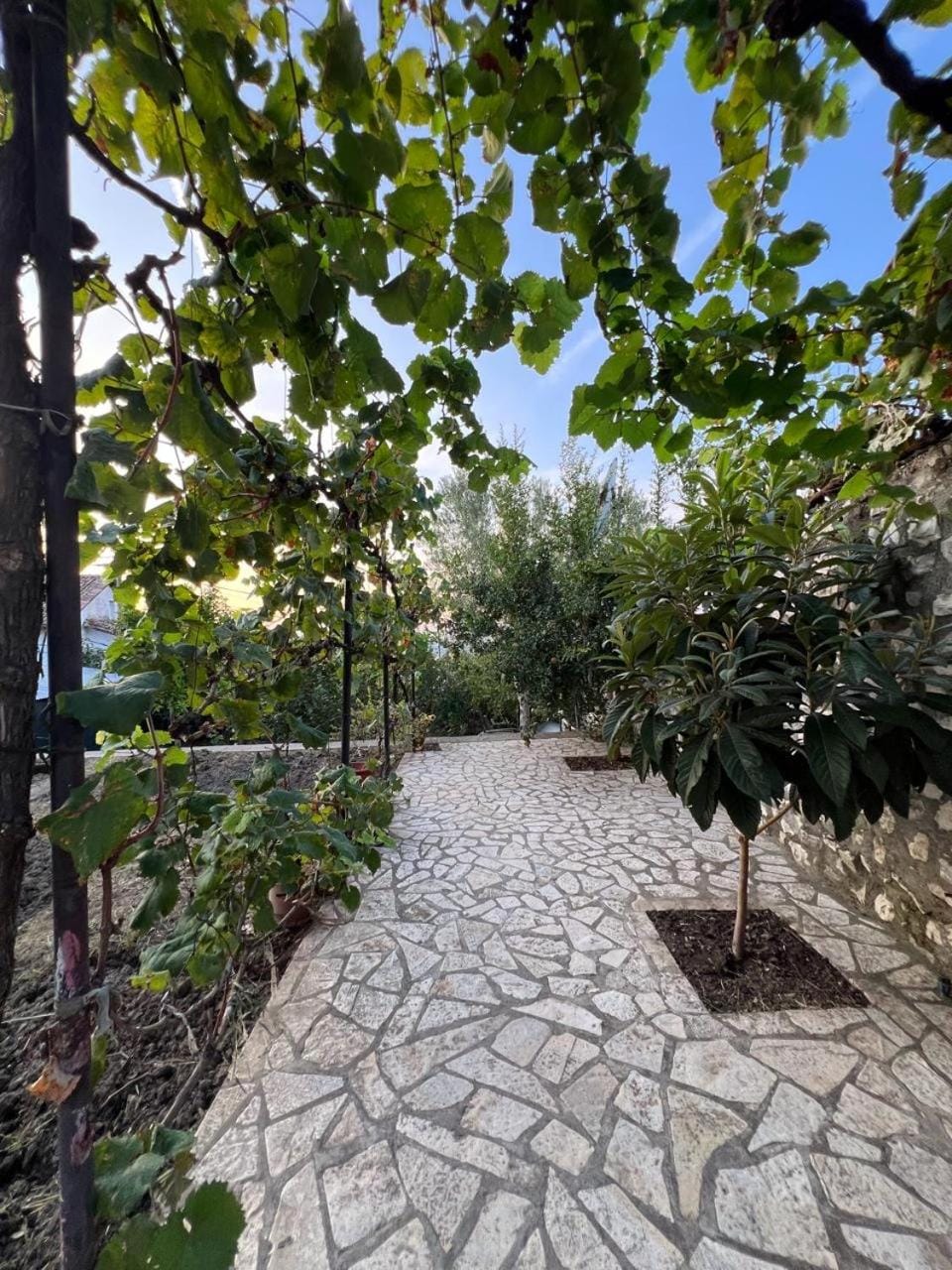 Pjetri House Bed and Breakfast in Europe