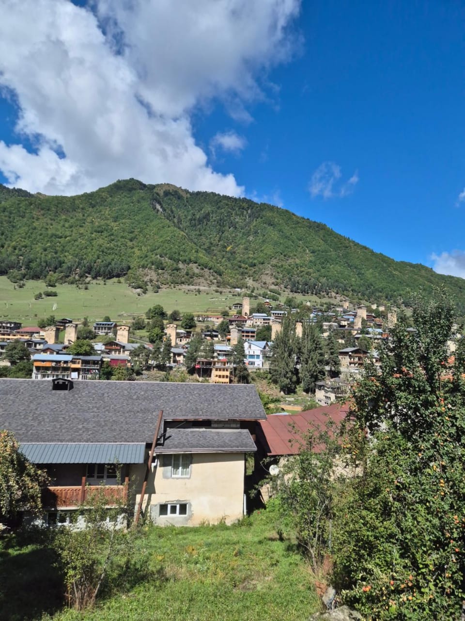 Mountain view
