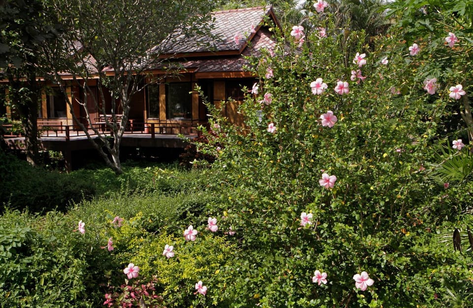 Garden, Garden view