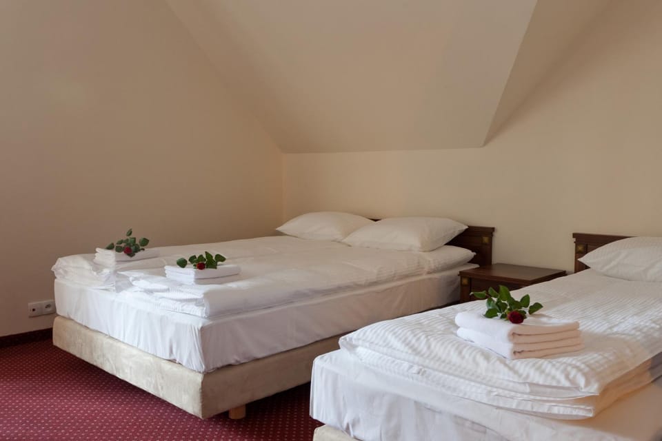 Pensjonat Czardasz Bed and Breakfast in Lesser Poland Voivodeship