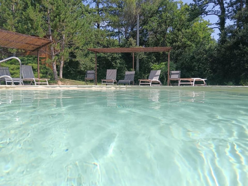 Pool view, Swimming pool, sunbed