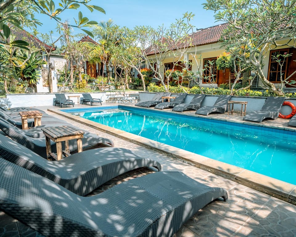 Property building, Day, Garden, Garden view, Pool view, Swimming pool, sunbed