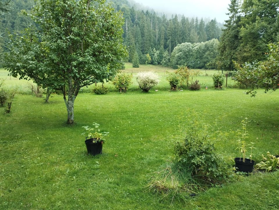 Pokoje goscinne na Gasienicowym Potoku Vacation rental in Zakopane