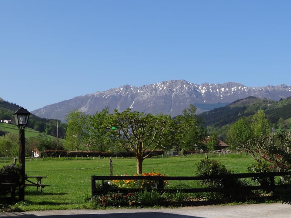 Mountain view