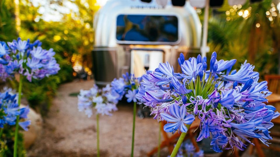 Caravan Outpost Campground/ 
RV Resort in Ojai