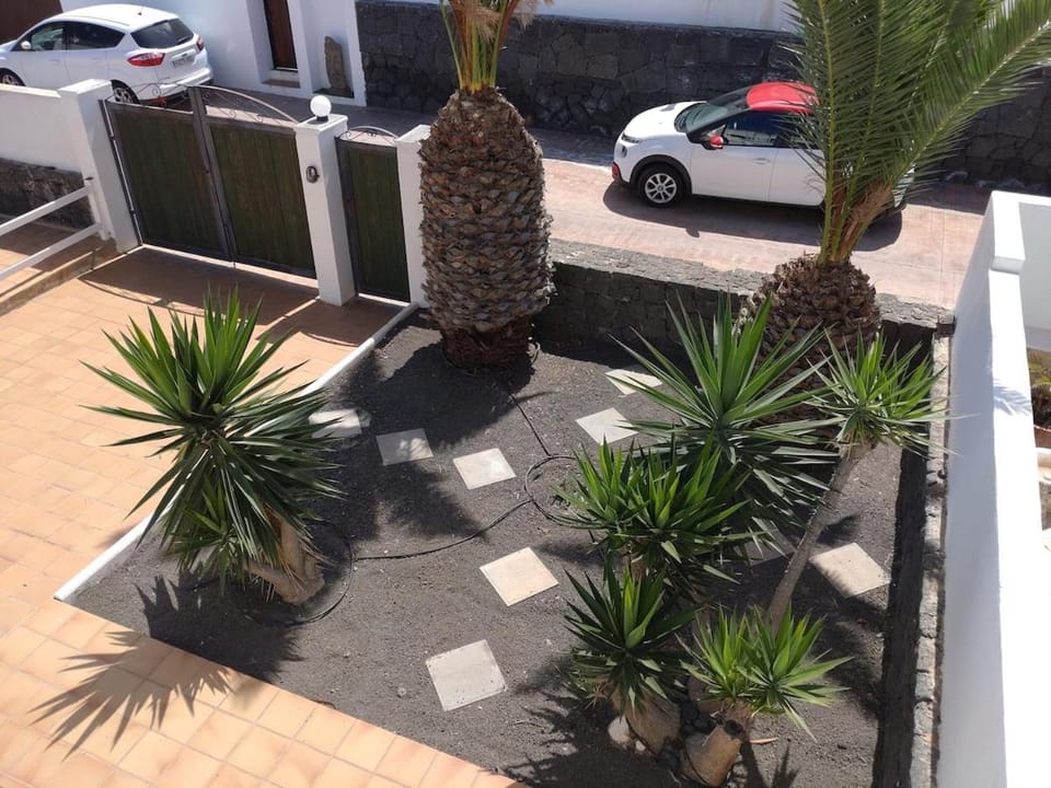 Garden, Garden view, Parking
