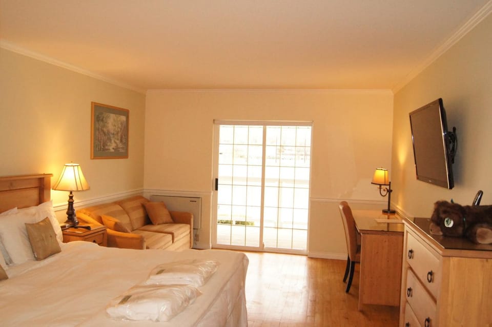 Bed, Photo of the whole room, Seating area