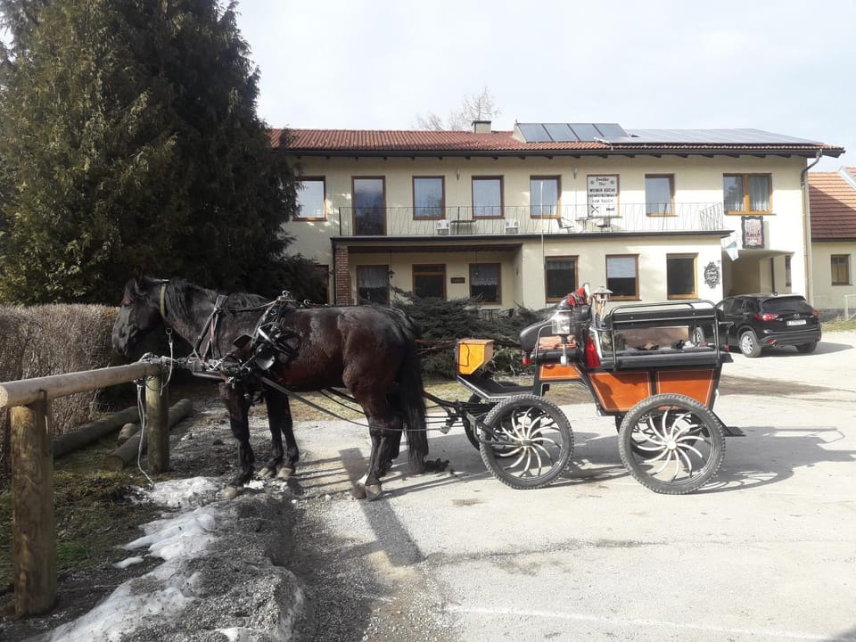 Dorfwirtshaus Rauch Bed and Breakfast in Austria