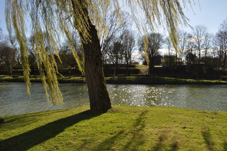 Nearby landmark, Natural landscape