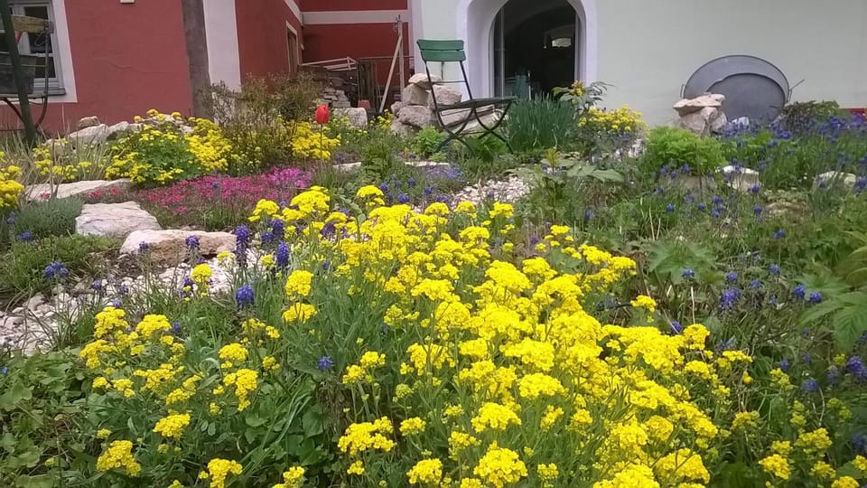 Spring, Garden