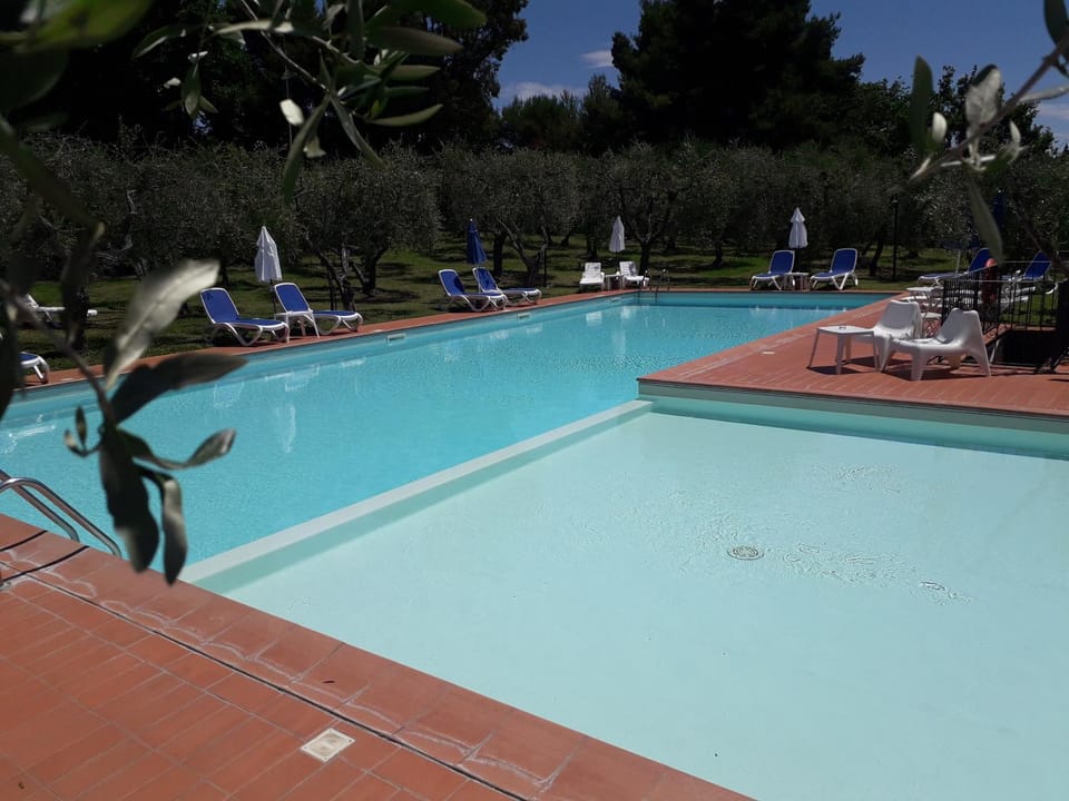 Pool view, Swimming pool, Swimming pool