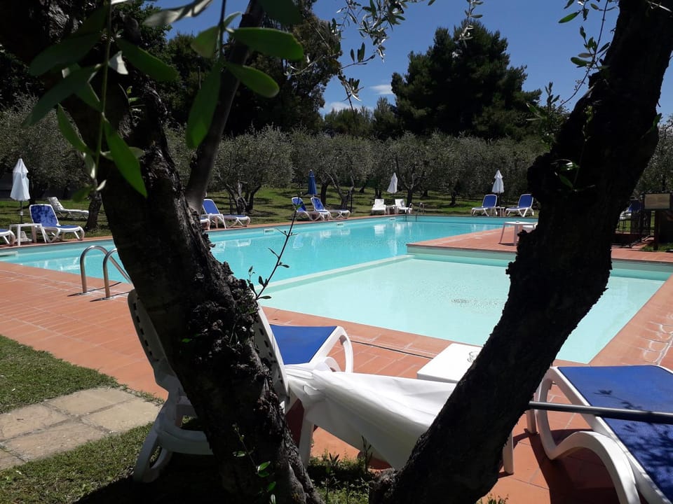Pool view, Swimming pool, Swimming pool