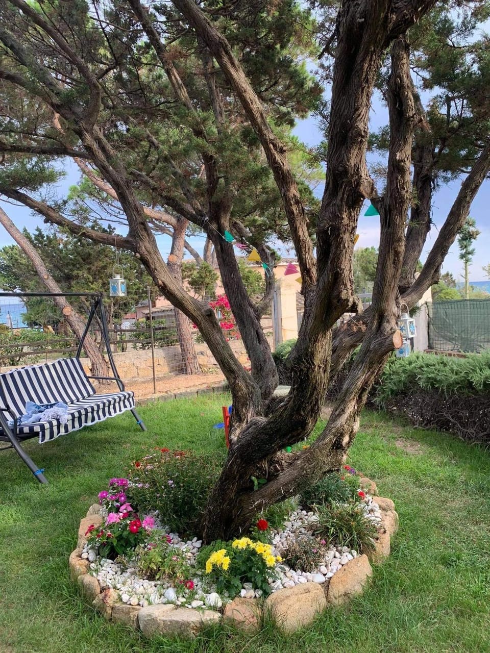 Villa Edo House in Cala Liberotto
