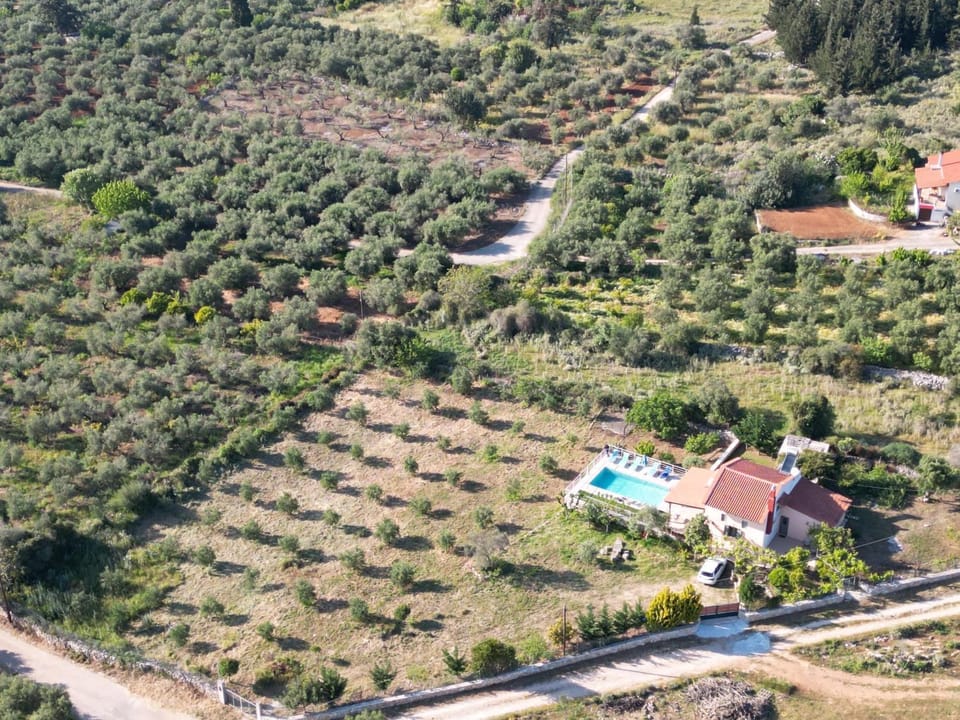 Natural landscape, Garden, Swimming pool