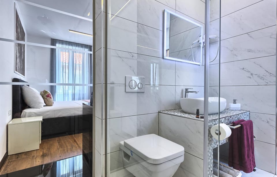 Shower, Toilet, Bathroom, Living room, Bedroom