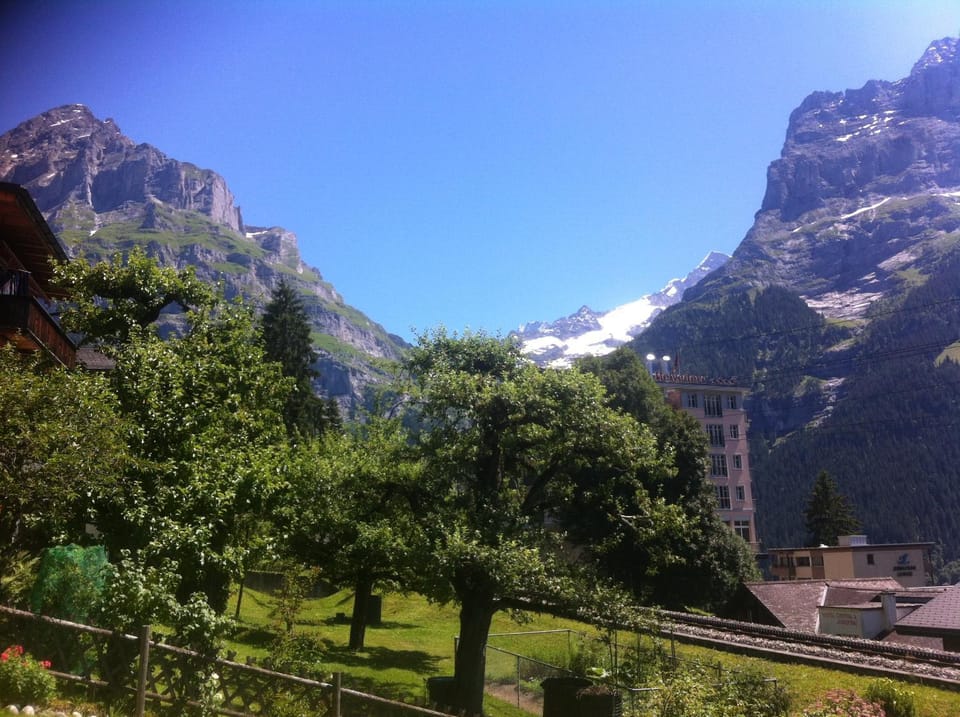 Natural landscape