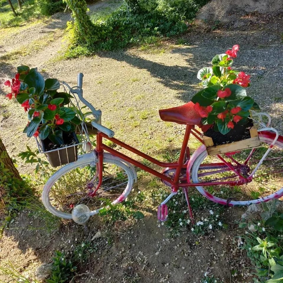 Spring, Day, Garden, Cycling, Garden view