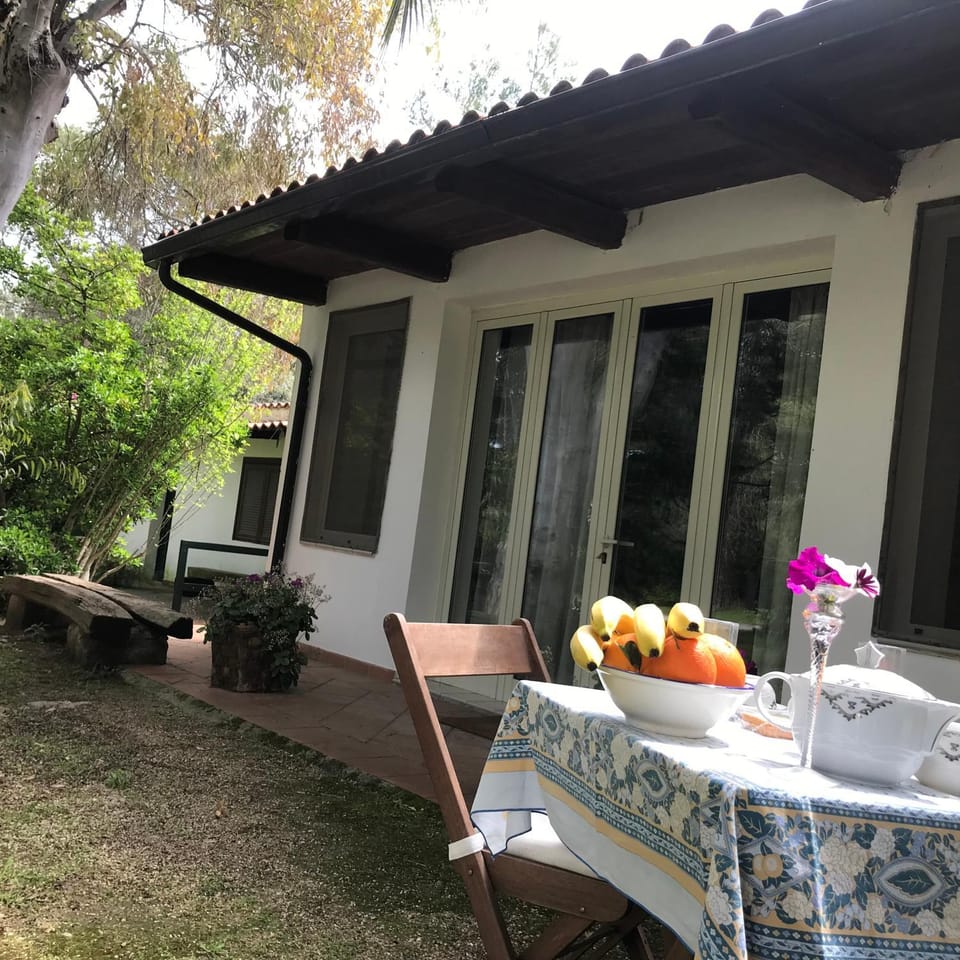 Patio, Facade/entrance, Garden