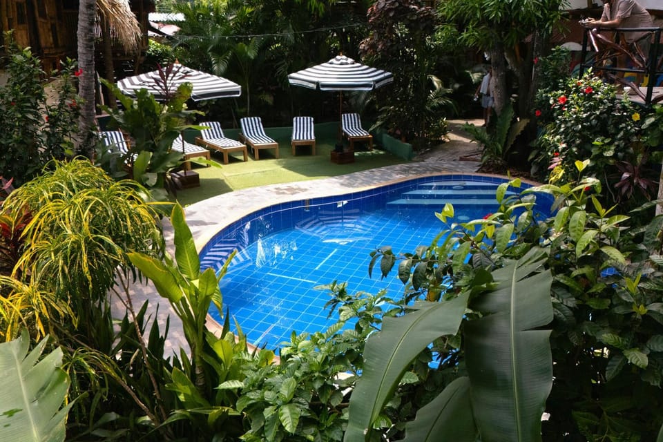 Swimming pool, Swimming pool