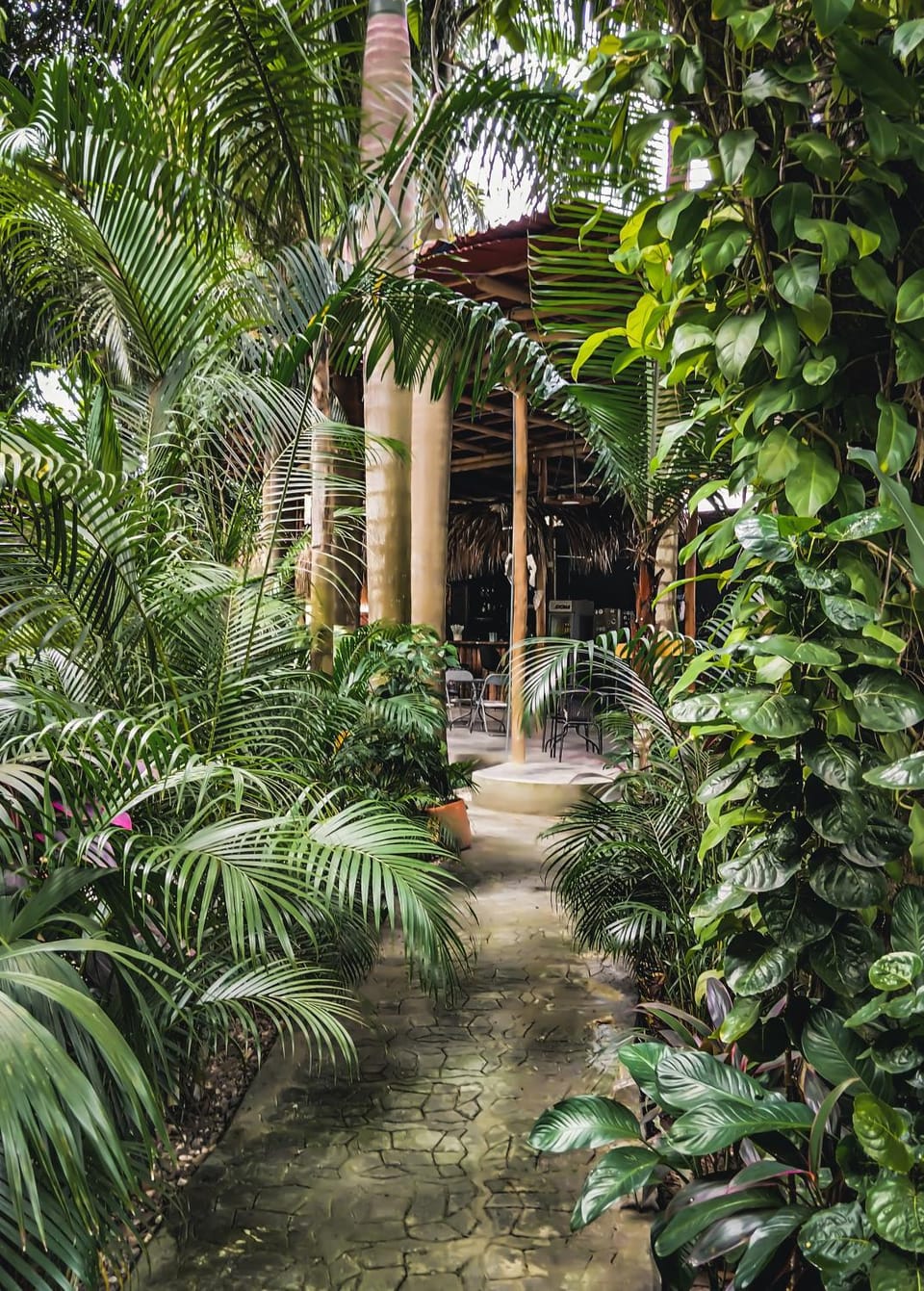 Property building, Garden