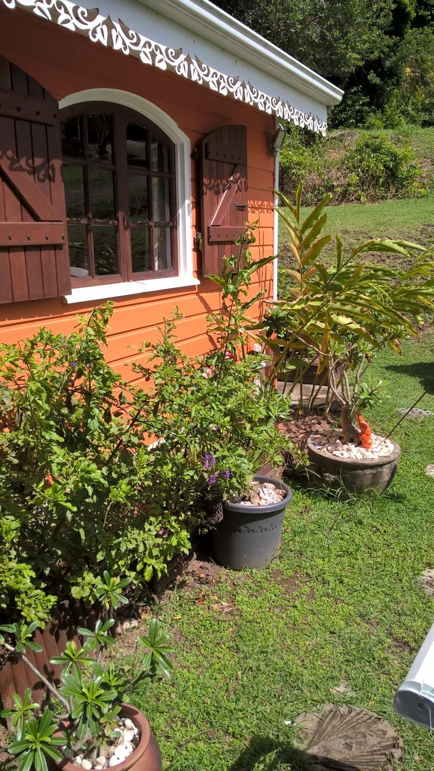 Facade/entrance, Garden