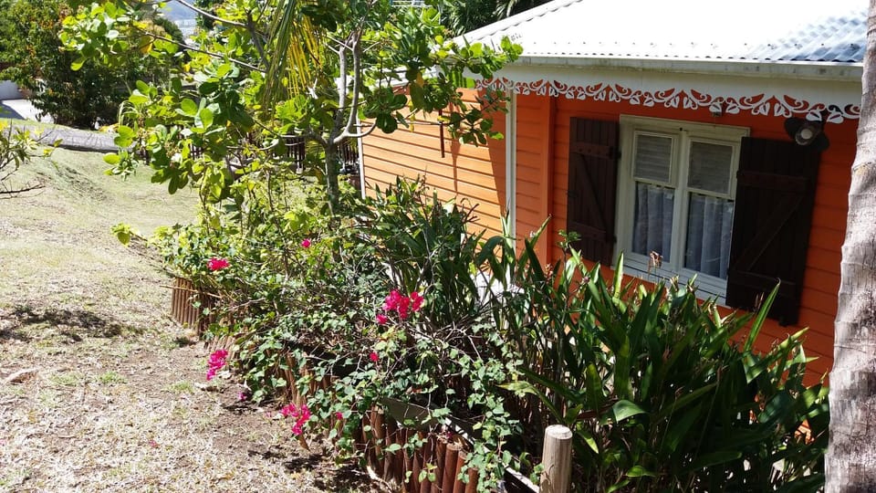 Natural landscape, Garden
