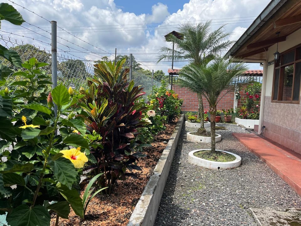 Garden view